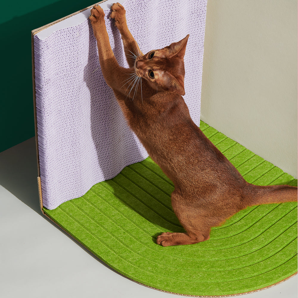 3-Dimensional Cat Scratcher - 2 Colours