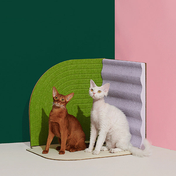 3-Dimensional Cat Scratcher - 2 Colours